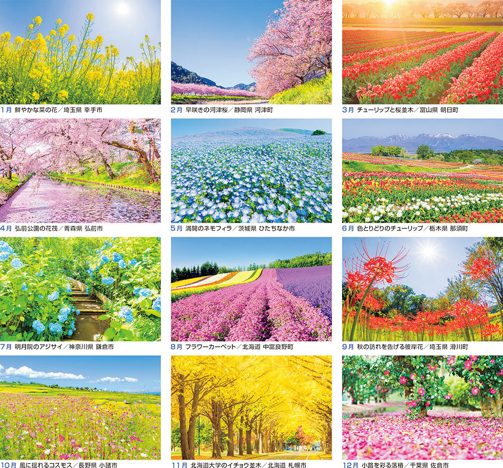 日本一美しい花風景を散歩する 壁掛けカレンダー 株式会社 写真工房