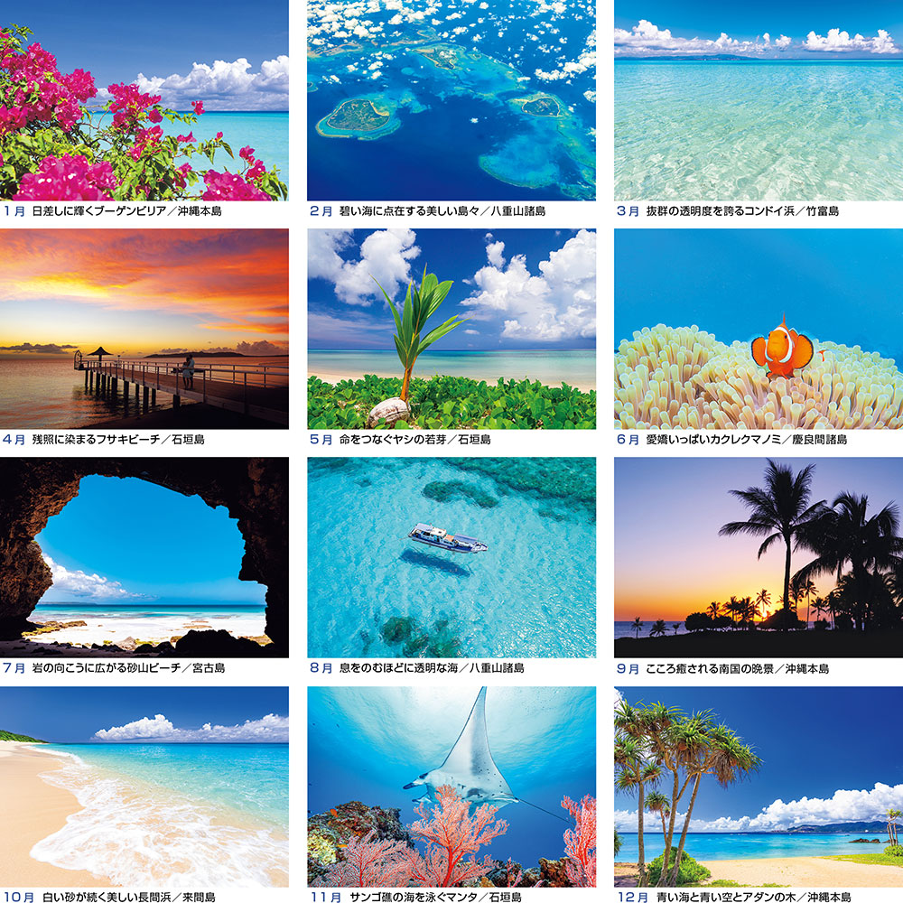 沖縄 美ら海物語 壁掛けカレンダー 株式会社 写真工房